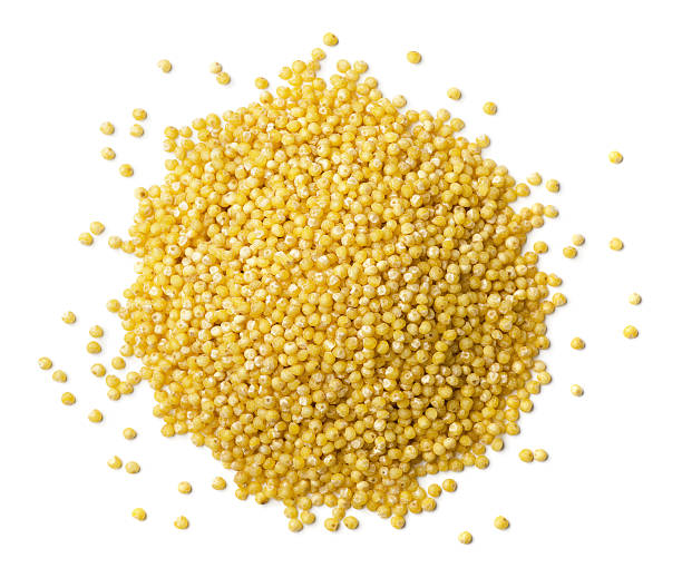 Millet Seeds