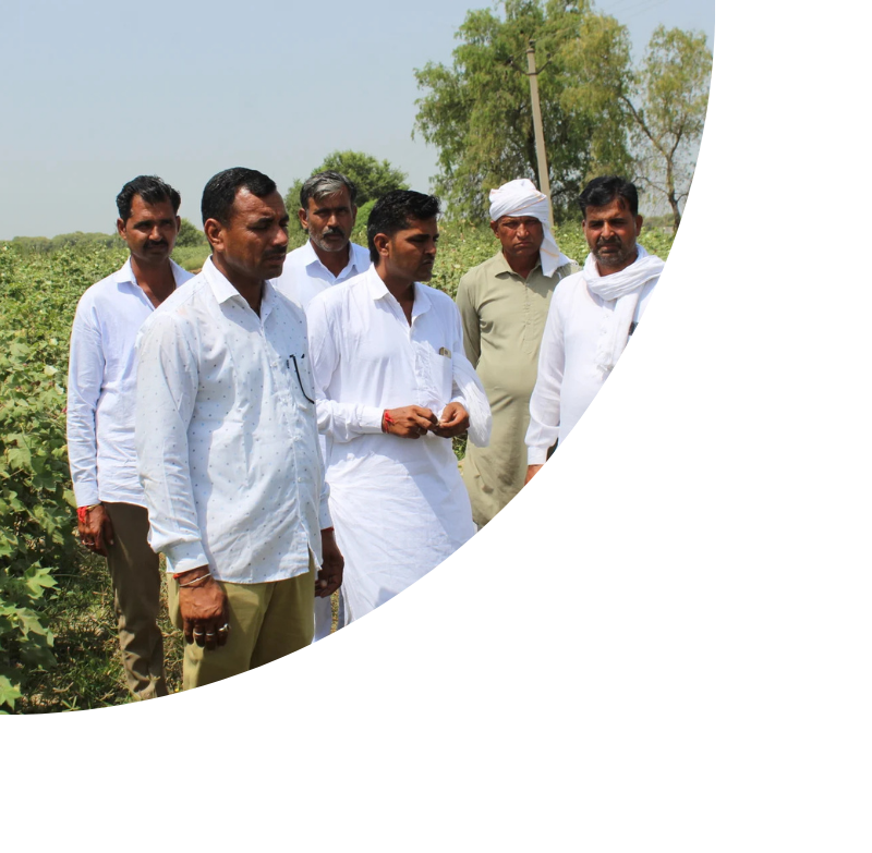 Farmers with IFSA Seeds