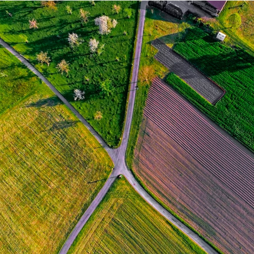Agriculture field